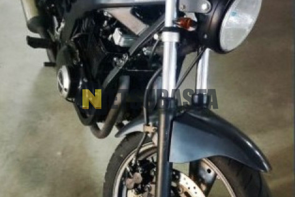 Suzuki GS 500 2000