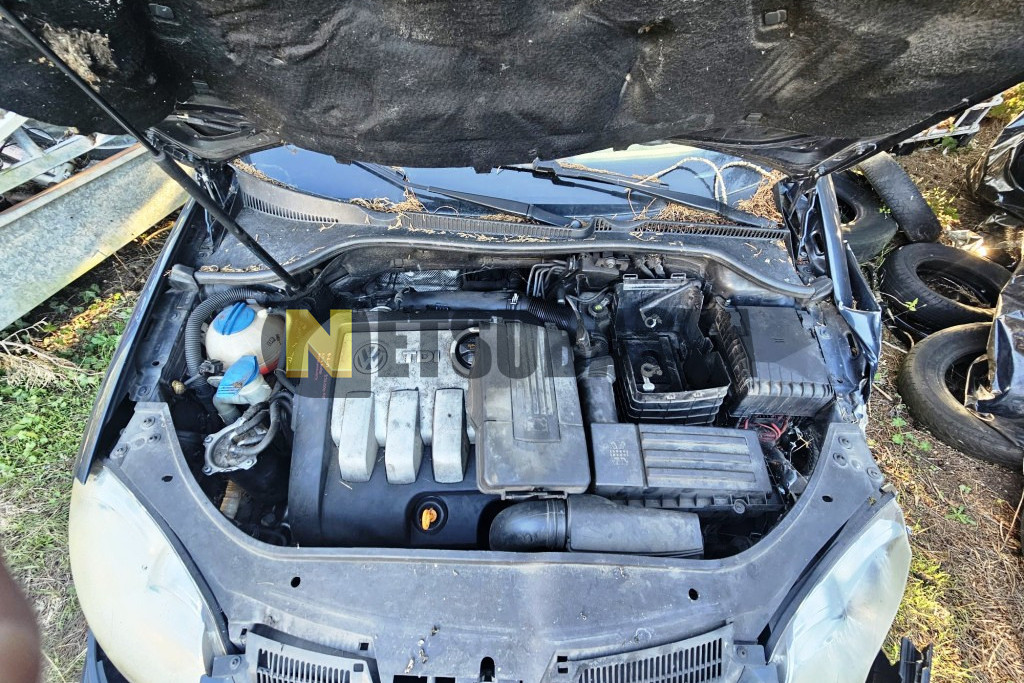 Volkswagen Golf 1.9 TDI 2006