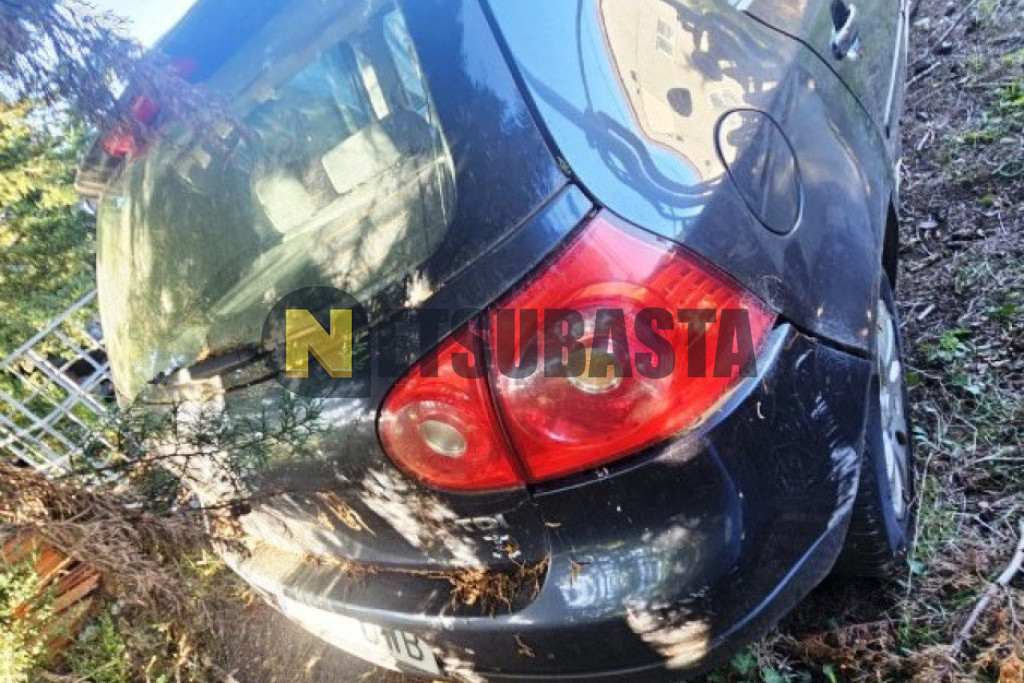 Volkswagen Golf 1.9 TDI 2006