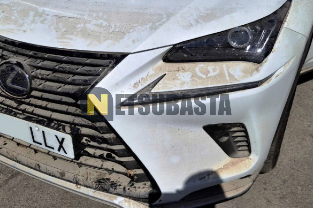Lexus NX 300h 2WD 2020