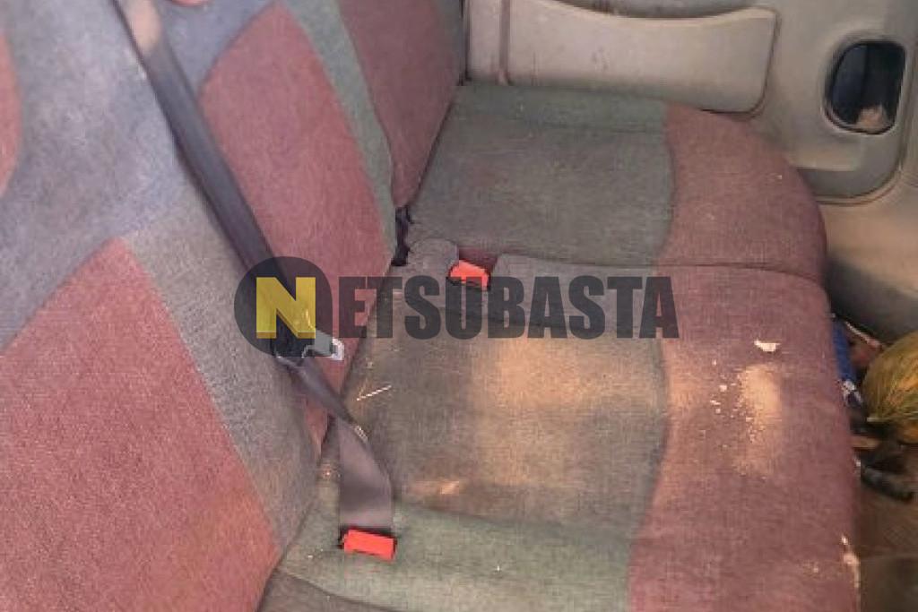 Renault Kangoo 1.9 dCi 4x4 2002