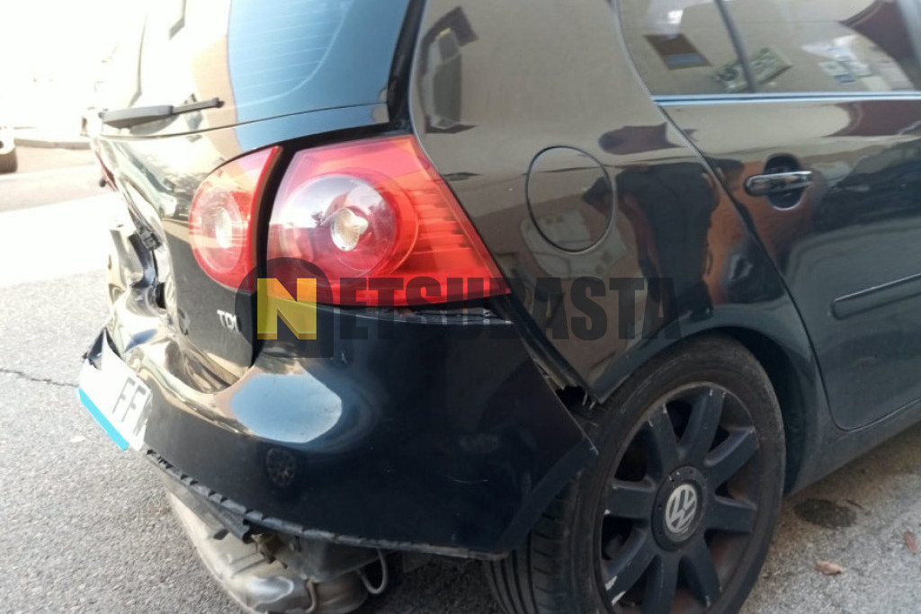 Volkswagen Golf 1.9 TDI 2006