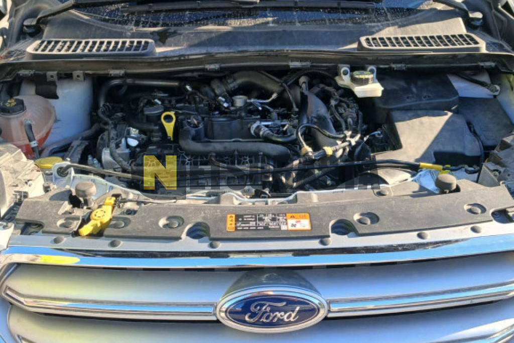 Ford Kuga 1.5 EcoBoost 2019