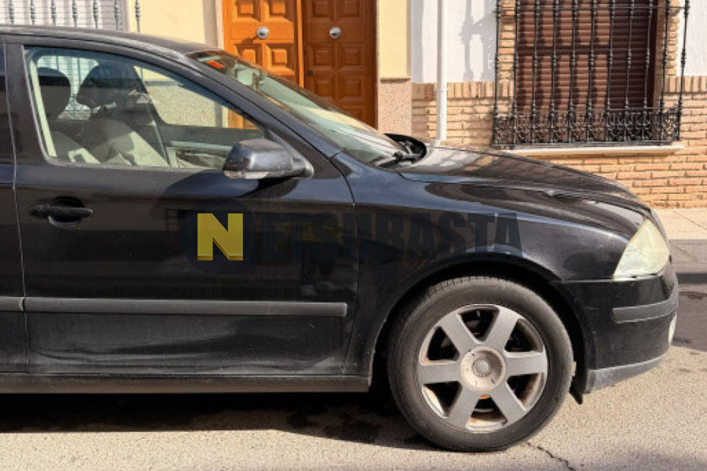 Skoda Octavia 1.9 TDI 2006