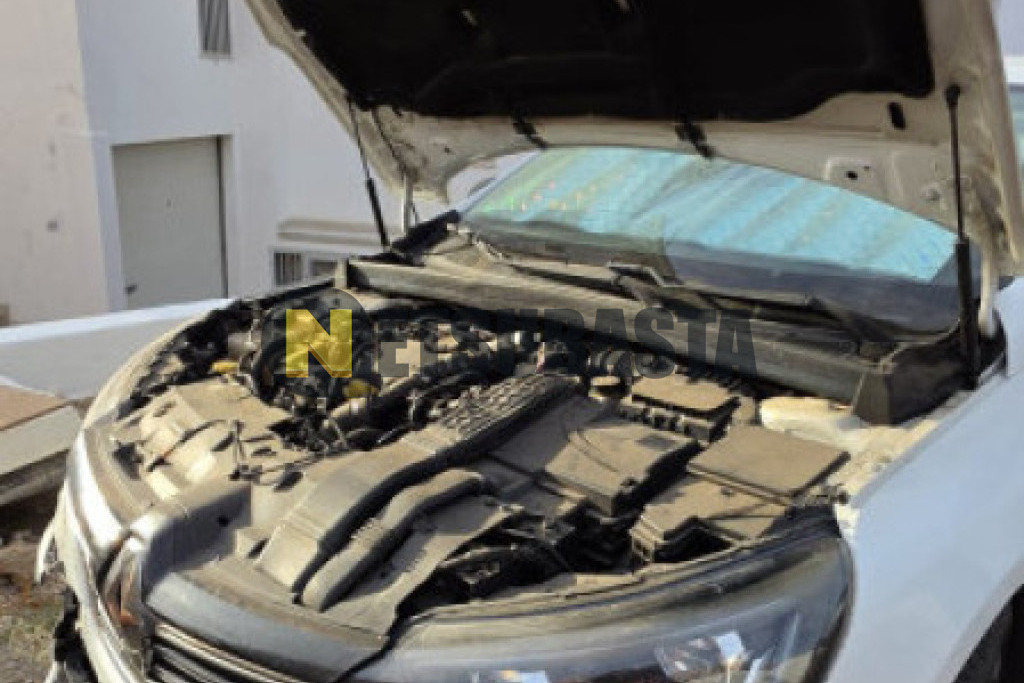 Renault Mégane 1.5 dCi 2019