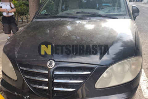 SsangYong Rodius 270Xdi AWD 2007