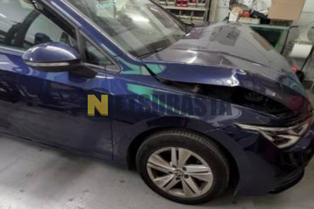 Volkswagen Golf Variant 2.0 TDI 2024