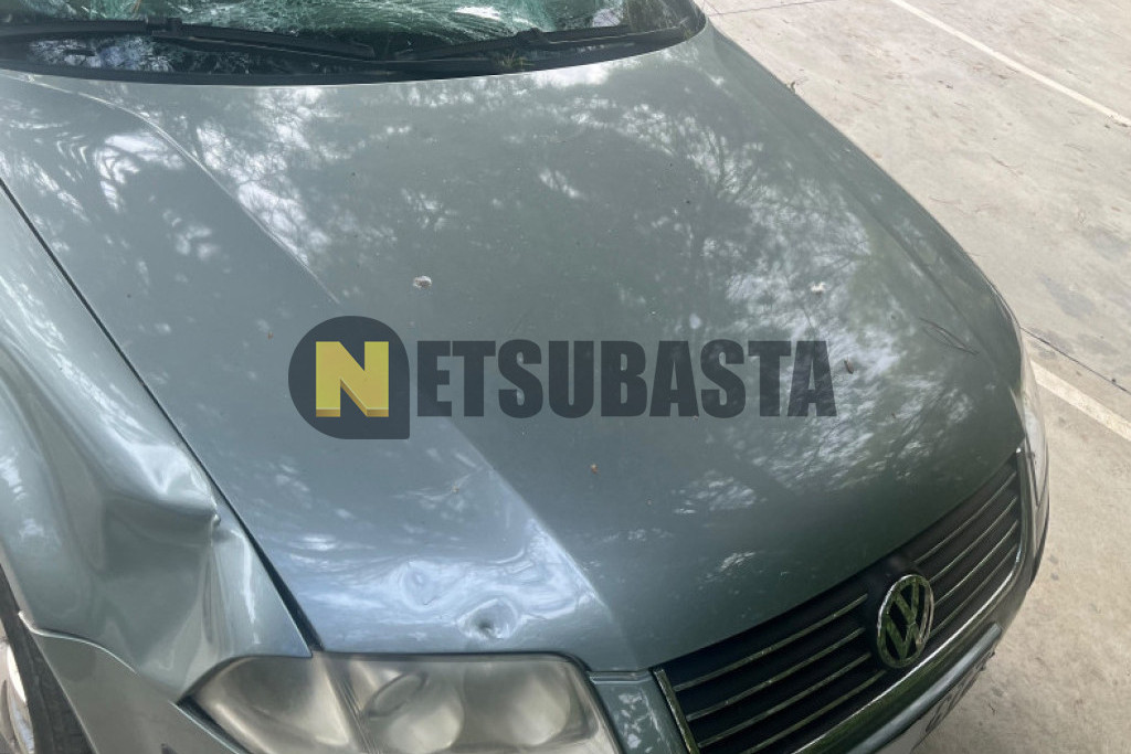 Volkswagen Passat 1.9 TDI 2004