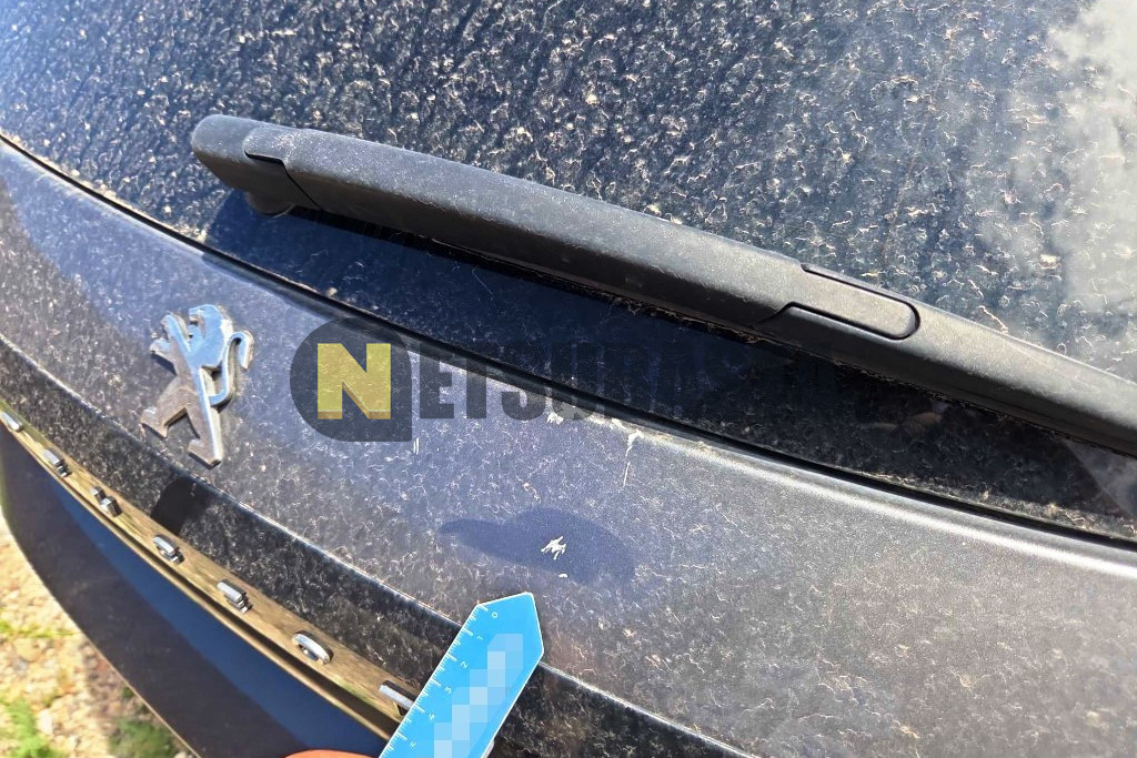 Peugeot 208 1.5 BlueHDi 2022